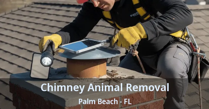 Chimney Animal Removal Palm Beach - FL