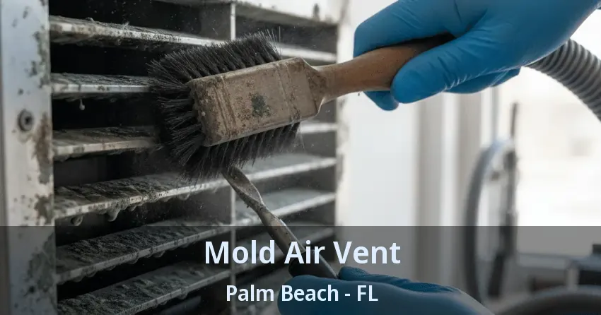 Mold Air Vent Palm Beach - FL Mold Air Vent Palm Beach - FL