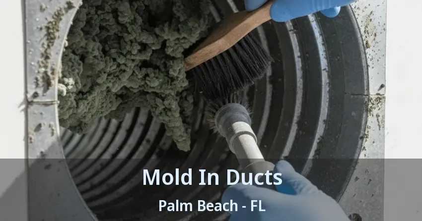 Mold In Ducts Palm Beach - FL