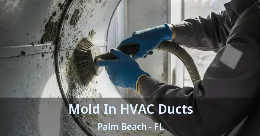 Mold In HVAC Ducts Palm Beach - FL